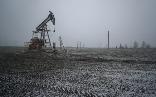 Египетский миллиардер предсказал рост цен на нефть до $100 за баррель